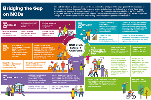 Bridging the Gap - NCD Civil Society Compass - teaser