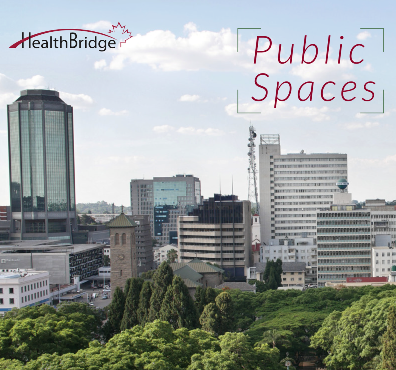 HealthBridge Public Spaces Report