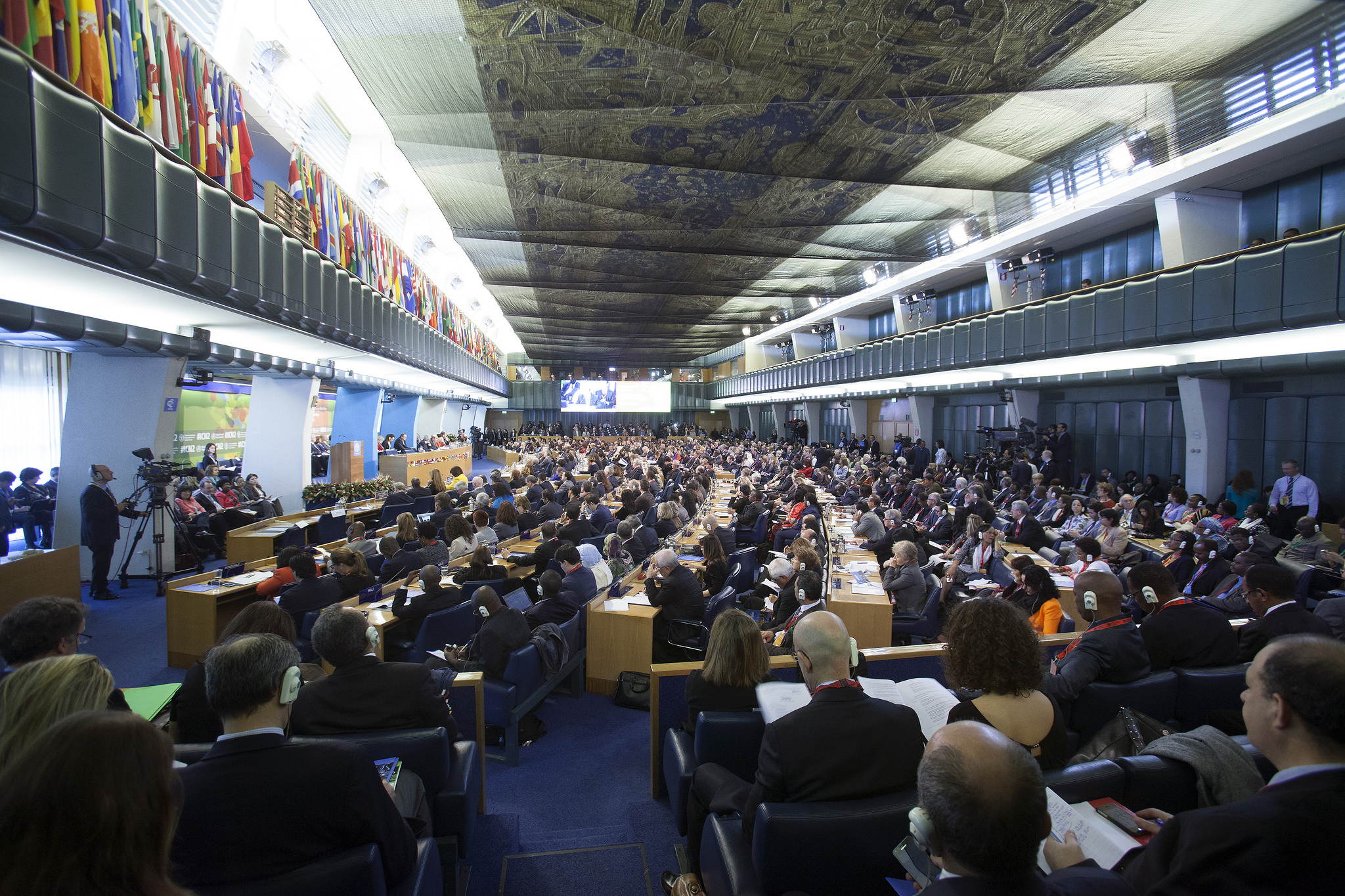 ICN2: Rome Declaration on Nutrition and the Framework for ...