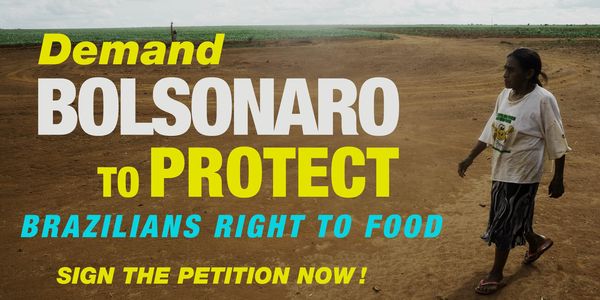 Petición: Restaurar los poderes del organismo brasileño para alimentos y nutrición