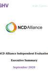 Global Health Visions - NCDA Independent Review