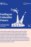Fueling an Unhealthy Future - Brief