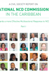 A Civil Society Report on National NCD Commissions in the Caribbean