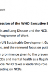 Statement at the Special Session of the WHO Executive Board, November 22-23