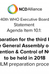 140th WHO EB: Agenda Item 10.1: Preparation for the third High-level Meeting of the General Assembly on the Prevention and Control of NCDs, to be held in 2018 - Statement on preparation processes