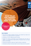Sectoral Brief: Trade and Industry