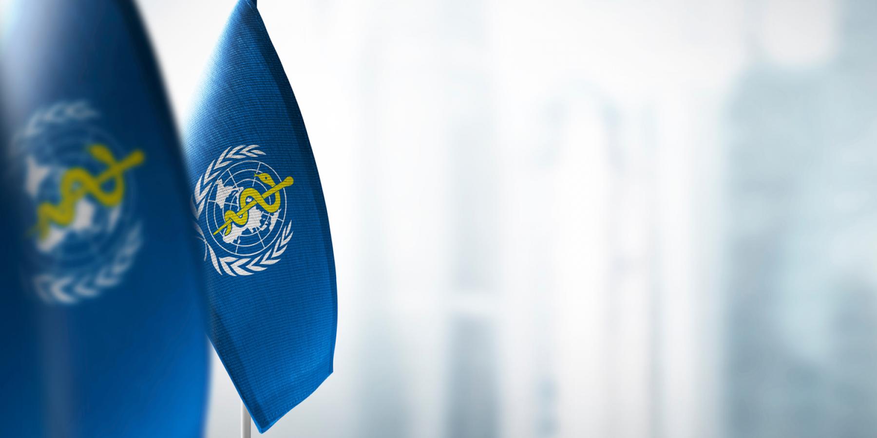 World Health Organization Flags