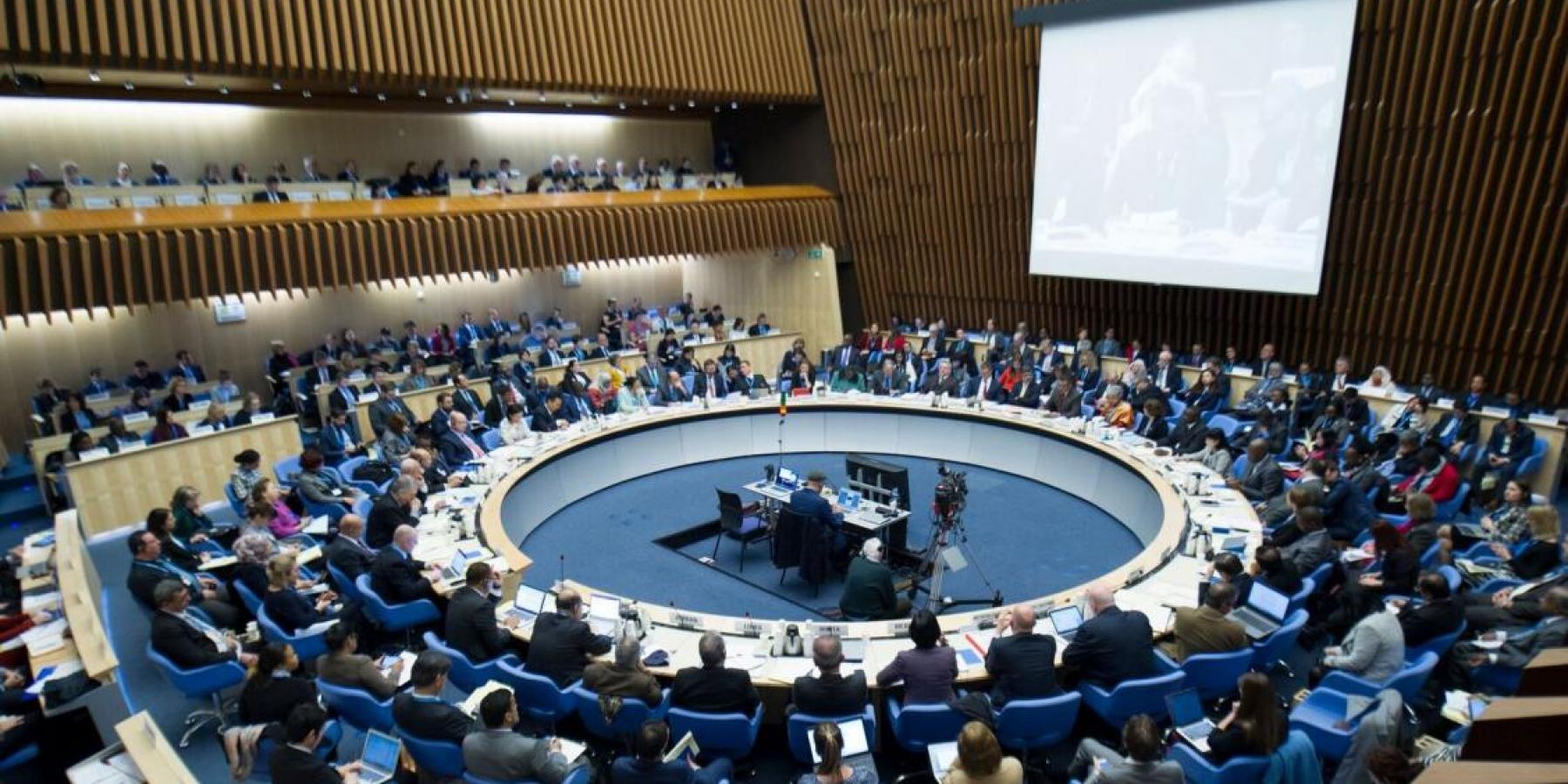 Photo of the 142nd meeting of the WHO Executive Board