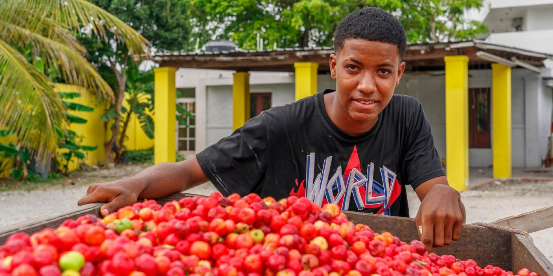 A young boy sells cherries from his garden in Dominican Republic