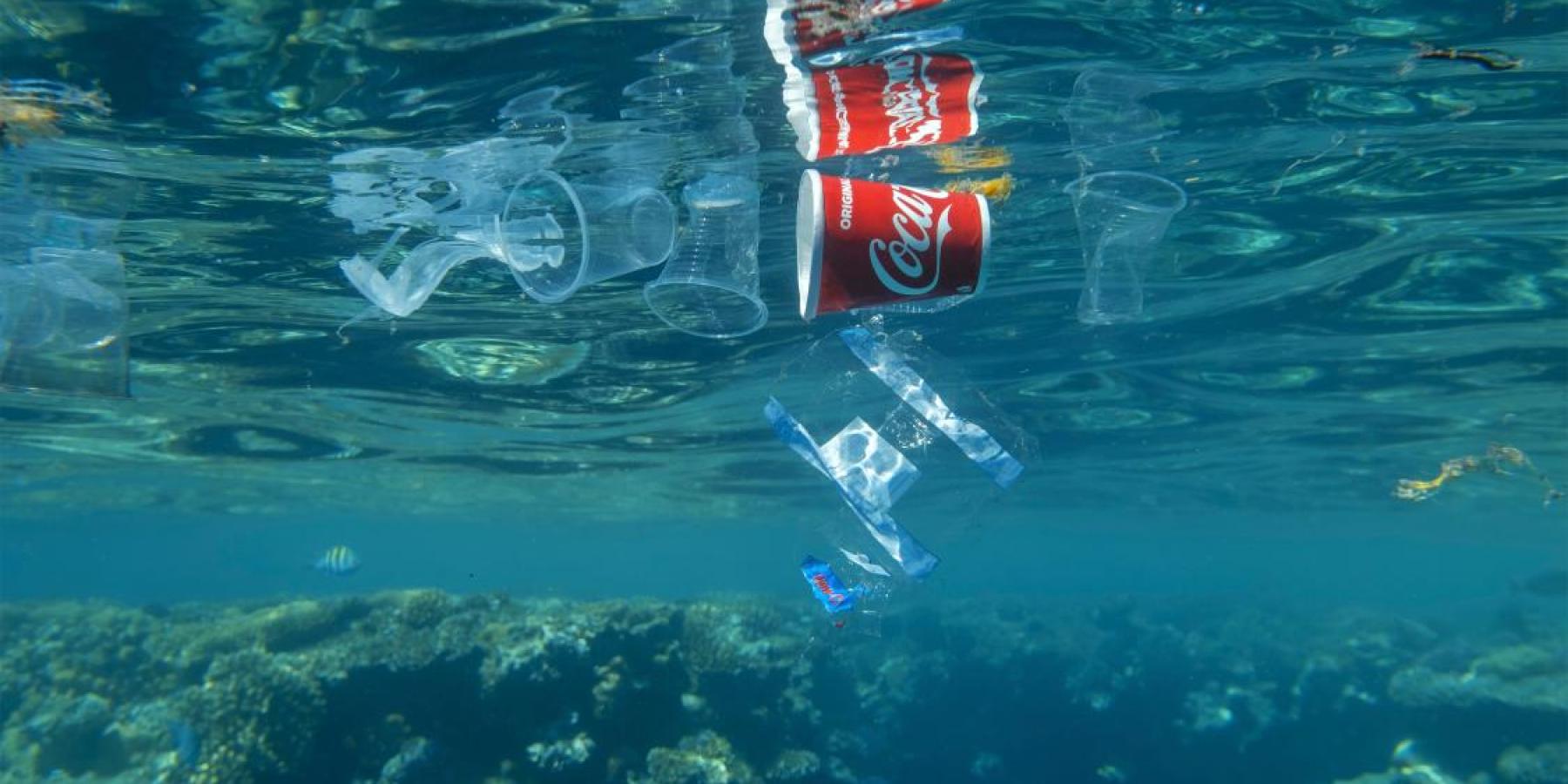 Coca-Cola sponsoring COP27 and diabetes