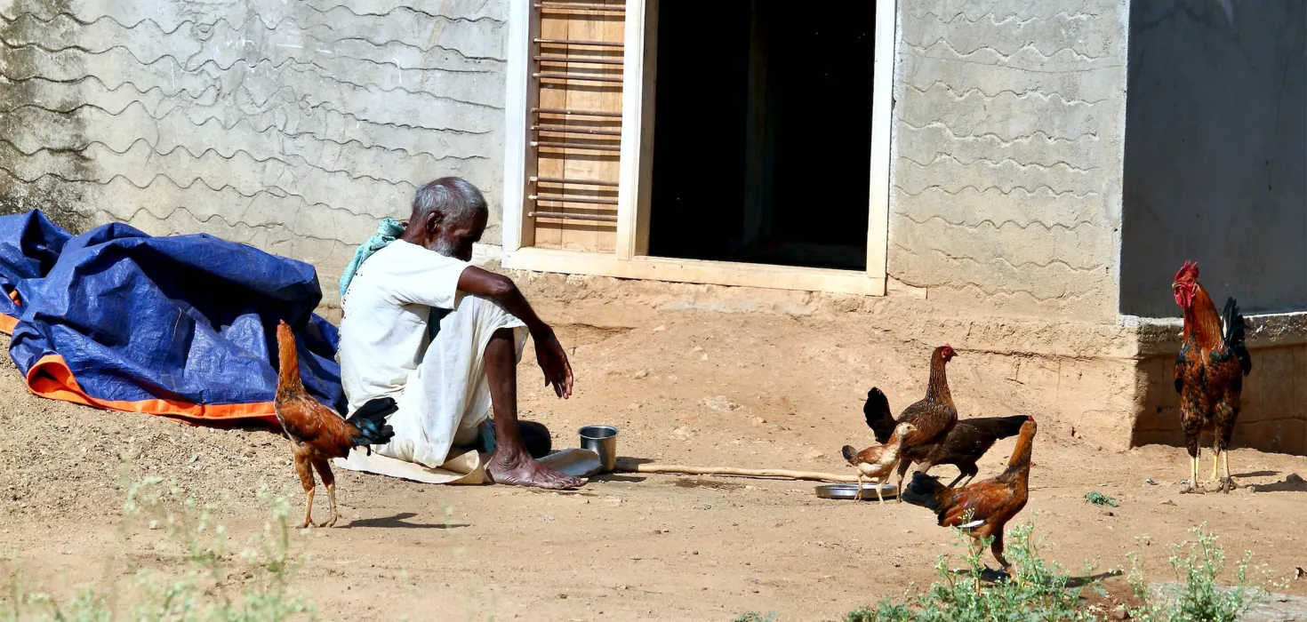 Man sitting in a barnyard surrounded by chickens