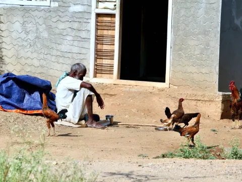 Man sitting in a barnyard surrounded by chickens