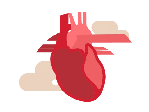 cardiovascular disease icon