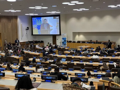 plenary at UN HQ in New York