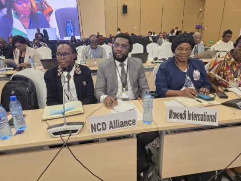 AFRO Region at 2025 WHO RCMs