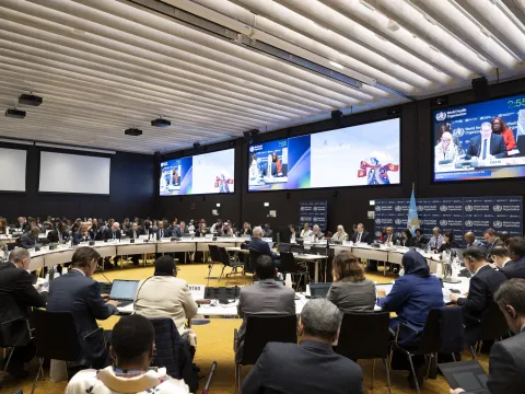 Delegates from member states and civil society at WHO EB158 in Geneva