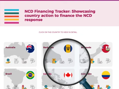 NCD Financing tracker banner for website