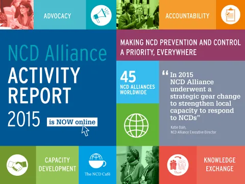 NCDA 2015 Activity Report year view