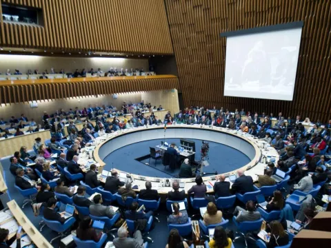 Photo of the 142nd meeting of the WHO Executive Board