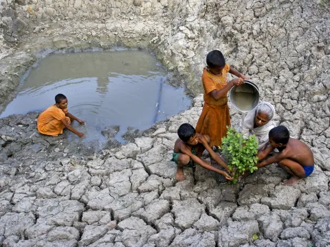 A grandmother and her grandchildren plant a tree in a drought-stricken rural area of West Bengal, India. 