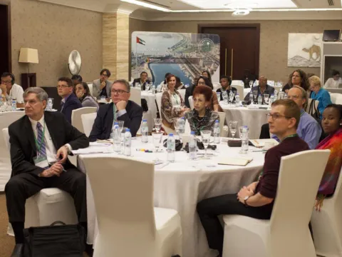 Attendants of a plenary at the Global Forum