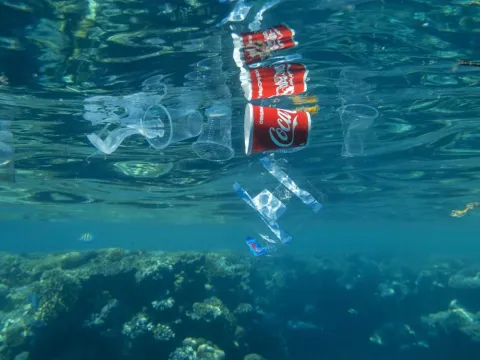 Coca-Cola sponsoring COP and diabetes