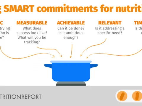GNR SMART commitments