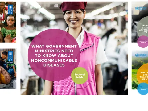WHO UNDP-Sectoral-Briefs-Blog-Header.png
