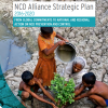 Important milestones in NCD prevention and control – but no room for complacency