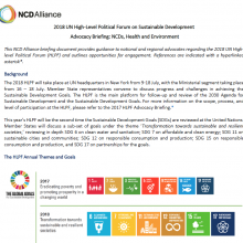 2018 UN HLPF: Advocacy Briefing: NCDs, Health and Environment