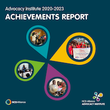 Advocacy Institute 2020-2023: Achievements Report 