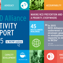 NCDA 2015 Activity Report year view