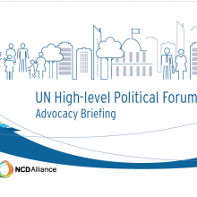 2017 UN High-level Political Forum Advocacy Briefing