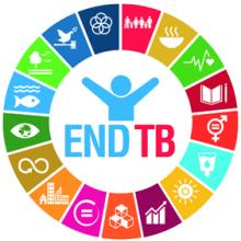 Global ministerial conference on Tuberculosis (TB)