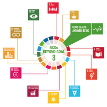 Cuenta regresiva para las ENT al 2030: vías para lograr la Meta 3.4 del Objetivo de Desarrollo Sostenible