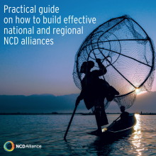 Practical guide on how to build effective national and regional NCD alliances