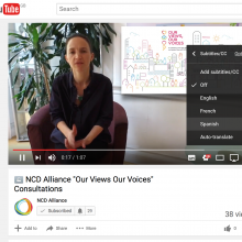 Our Views Our Voices - Consultation Promotional Video