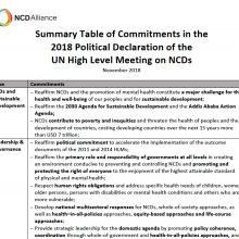 Summary of commitments in the 2018 Political Declaration on NCDs