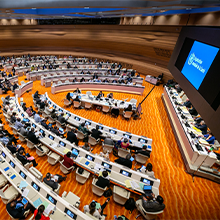 WHA77 Constituency Statement: Follow-up to the political declaration on NCDs