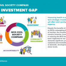 NCD Civil Society Compass - The investment gap
