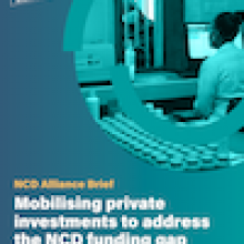 Mobilising private investments to address the NCD funding gap