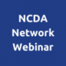 Thematic Webinar: Making visible the quality of care for people living with NCDs
