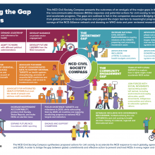 Bridging the Gap - NCD Civil Society Compass