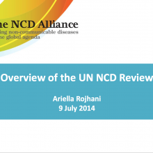 NCD Alliance UN Review 2014 Civil Society Briefing Slides