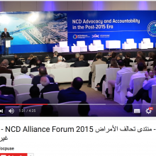 Global NCD Alliance Forum 2015 - Day 2 video