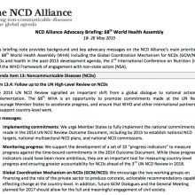 NCD Alliance Advocacy Briefing
