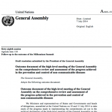 Final Outcome Document UN Review 2014