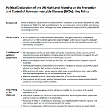 Political Declaration of the UN High-Level Meeting on the Prevention and Control of Non-communicable Diseases: Key Points