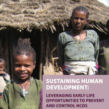 Sustaining Human Development: Leveraging Early Life Opportunities to Prevent and Control NCDs