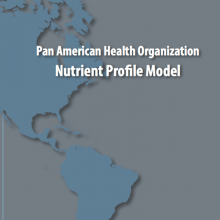 Pan American Health Organization Nutrient Profile Model